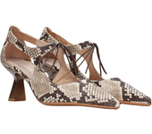 ZAPATO CALLE MUJER HISPANITAS HV253934