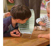 Wheel Hamster Silent Exercise Chinchilla Inch Quiet Running Rat Hedgehog Animal Wheels Saucer Toy Cage Exercising Gerbil Animals
