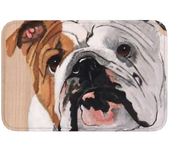 1PC 40*60cm English Bulldog Doormat Non-Slip Bath Kitchen Mat Bedroom Balcony Door Floor Entrance Carpet Rug