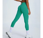 Outdoor Running Fitness Pants Peach Lift Buttocks Yoga Pants Women Fast Drying Breathable Seamless Tight High-waisted Sweat Pant