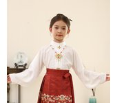 New horse faced Hanfu set for girls, Chinese Ming children's ancient Tang style daily spring and summer