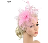 Flower Feathers Hair Clip Fascinator Hat for Women Tea Party Headband Wedding Cocktail Mesh Alice Headband Clip