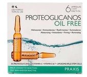 Praxis Proteoglicanos Oil Free 6X2Ml