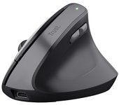 Trust - TM-270 ratón Oficina mano derecha RF inalámbrico Óptico 2400 DPI 25371