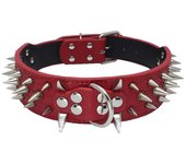 Perno de oro de collar de perro de 2 pulgadas de ancho, collar de perro grande