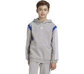 Sudadera con Capucha Adidas  para niños en color gris