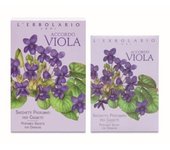 Accordo Violeta Saquito Cajón