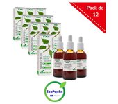 Soria Natural EcoPack 12 Extracto De Abedul 50 ml