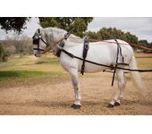 ENGANCHE HH KEIFFER COLLARIN SENCILLO
