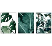 Set de 3 cuadros calidad premium con marco de madera - 30x40 cm o 50x70 cm - POSTER LAB
