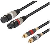 Conexión 2 XLR-canon 3 pin hembra a 2 RCA macho
