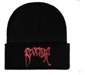 Fashionable warm hat in the style of the Revenge music group