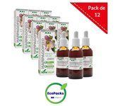 Soria Natural EcoPack 12 Extracto De Harpagofito 50 ML