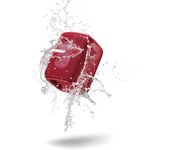 Motorola Sound ROKR 300 -  Altavoz Portátil con Bluetooth 5.3 Resistente al Agua y al Polvo USB-C – 12h de Reproducción