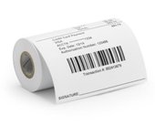 Zebra 8000D 101.6mm x 31.7m - Papel térmico (101,6 mm)