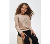 Camiseta Mayoral Manga Larga Gráfica para Niña