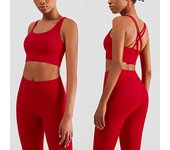 2 Piece Yoga Clothes Women's Tracksuit Athletic Wear Pilates Fitness Suit Gym Workout Push Up Clothes Sports Bra Leggings Suit