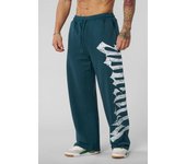 American Fashion Brand Wide Leg Straight Leg Fitness Muscle Training All Mop Pants Four Seasons Y2K Men's Pants Loose