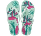 Chanclas de agua mujer IPANEMA IP83611BD533 ESCLAVA BEACH HOJAS GREEN 35824 25V