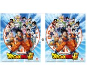 Poster 3D Dragon Ball Z Goku & The Z Fighters