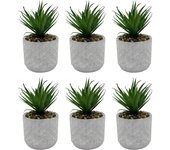ORION91 Planta Artificial Decorativa Elma con Maceta Cemento Gris Claro - diámetro 10cm alto 18cm - SpazioLuzio