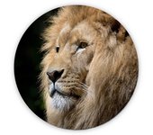 MERCHANDMANIA ALFOMBRILLA REDONDA leon majestuoso salvaje selva savana feroz fiera mousepad raton