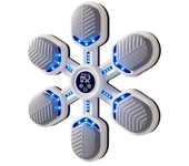 Máquina de Boxeo De Música inteligente Bluetooth 2024: Entrenador electrónico montado en la pared para adultos y niños - Equipo de perforación Interactive para partidos en casa - Ideal para niños ZP