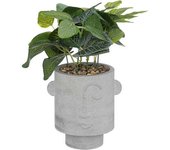 Planta con maceta rostro cemento gris, 26 cm de alto