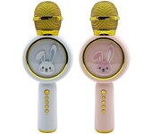 Micrófono inalámbrico Bluetooth X6 Micrófono de audio Micrófono integrado Altavoz para niños Cantando y tocando Canción nacional K integrada Tesoro