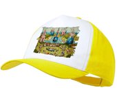 GORRA COLOR CUADRO JARDIN DE LAS DELICIAS EL BOSCO color cap cuadro arte museo