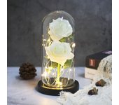 Two Roses Beauty And The Beast Red Rose In A Glass Dome On A Wooden Base Rose Lamp For Valentine's Day Christmas Gift Home Decor