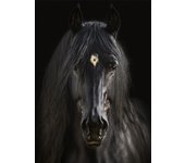 Black and White Wild Horses Canvas Paintings on The Wall Art Posters Prints Wall Picture Modern Animals Art Room Decor Frameless
