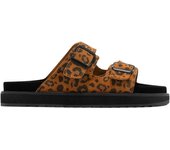 Sandalia D.Franklin Nordic Buckle Leopard