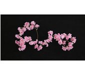 Multicolor Artificial Flower Cherry Vine DIY Accessories Ornament Hanging Garland Silk Petal Photo Props