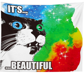 Funny Cat Tapestry for Bedroom Colorful Wall Hanging Trippy Psychedelic Funny Boho Hippie Room Decor Small Cute Wall Decor for Living Room Dorm Indoor Outdoor Use,