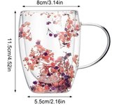 Rellenos Flores secas Taza de vidrio de doble pared Con Mango Té resistente al calor Tazas de café Taza de leche espresso Regalo creativo 350ml