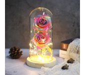 Two Roses Beauty And The Beast Red Rose In A Glass Dome On A Wooden Base Rose Lamp For Valentine's Day Christmas Gift Home Decor