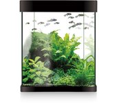 ICA - Kit Nano Aqualed 10 (10 Litros) - Kit Completo con Acuario de Cristal para Agua Dulce