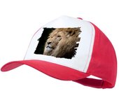 MERCHANDMANIA GORRA COLOR leon majestuoso salvaje selva savana feroz fiera color cap