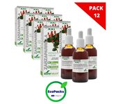 Soria Natural EcoPack 12 Extracto de Zarzaparrilla 50 ml