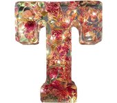 Luz de noche de resina floral, letras de resina de flores prensadas con luz LED, letra de resina floral, luz de noche de resina floral, nueva luz de noche de resina floral 2024, regalo para madre, esposa, novia, ella (T)