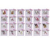 DOGGIE STAR SURT