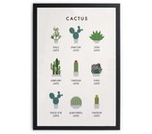 Cuadro con marco negro 40x30 cactus