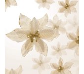 36 Flores de Nochebuena Brillantes de Navidad 3 Tamaños Flores Artificiales de Boda Decoración Adorno de Navidad para Árbol de Navidad Año Nuevo ( 3 Pulgadas, 4 Pulgadas, 6 Pulgadas)