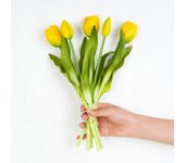 5pcs Artificial Tulip Bouquet Silicone Fake Flowers Party Decoration Living Room Table Centerpiece Floral Arrangement Decoration