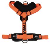 Arnés para Mascotas Nayeco x-trm 35-60 x 1,5 cm Naranja