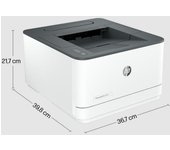 HP LaserJet Pro 3002dw Printer