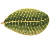 Forma de hoja simple