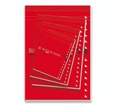 Pacsa - BLOC DE NOTAS CON TAPA 60 GRS. 8º (105X155MM.) 80 HOJAS CUADRÍCULA 4X4 PACSA 18904 18904