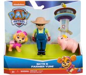 Blister figuras Skye Hero Pup Patrulla Canina Paw PatrolFigura  Coleccionable - Idea de Regalo- Mercancia Oficial - Juguetes para Niños y Adultos - Movies Fans - Muñeco para Coleccionistas y Exposición